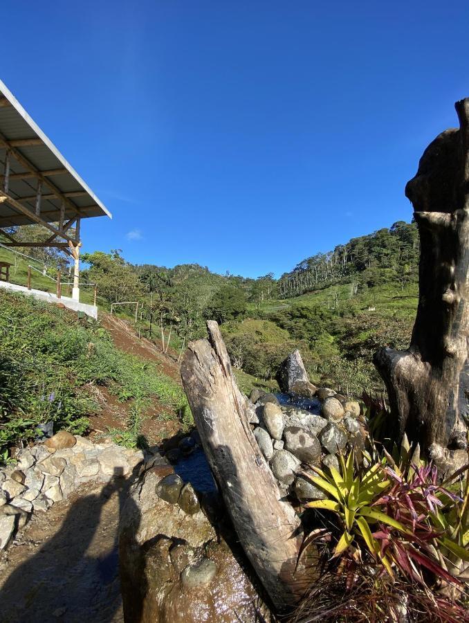 קרתגו Arte De Plumas Birding Lodge מראה חיצוני תמונה