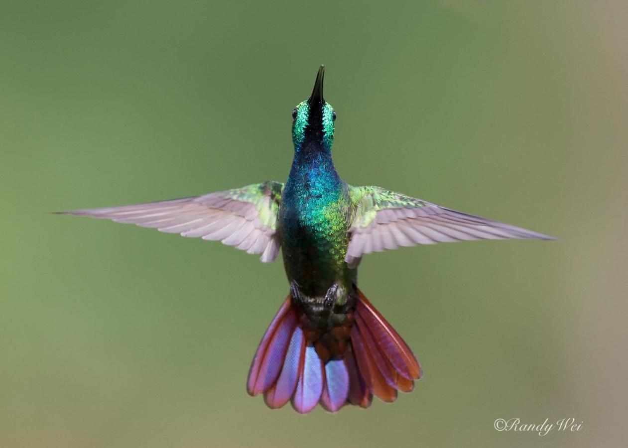 קרתגו Arte De Plumas Birding Lodge מראה חיצוני תמונה